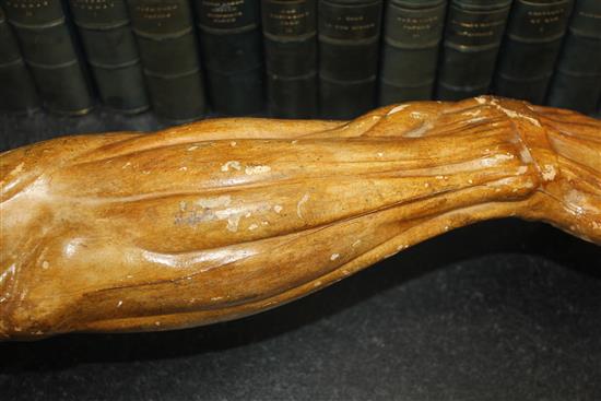 A plaster anatomical arm, 24.5in.